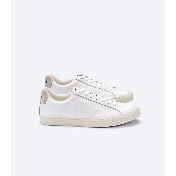 Veja ESPLAR LEATHER Men's Sneakers White | NZ 308JPQ